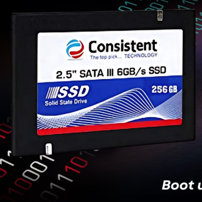 Consistent 2.5 SATA SSD 256 GB