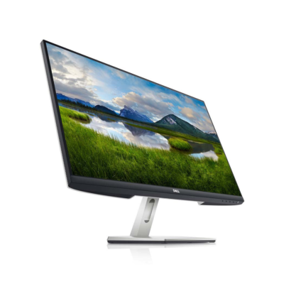 Dell 24 inch Monitor S2421HN FHD Borderless Monitor